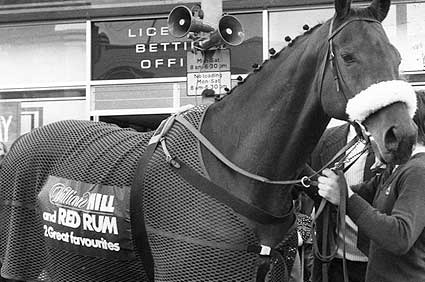 Red Rum cools down after a Grand National win 