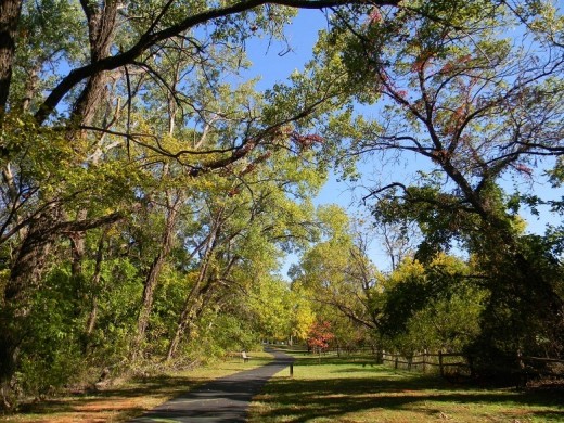 This beautiful walkway offers peaceful relaxation during a stroll under the canopy of color and sunshine. Trails like this follow the natural lay of the land.