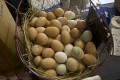 Don't Put All Your Eggs in One Basket: Financial Tips to Diversify Your Investments