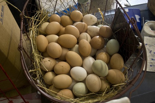 Don't put your eggs in one basket. Diversifying your investment provides protection against loss