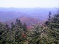 Blue Ridge Mountain Beauty