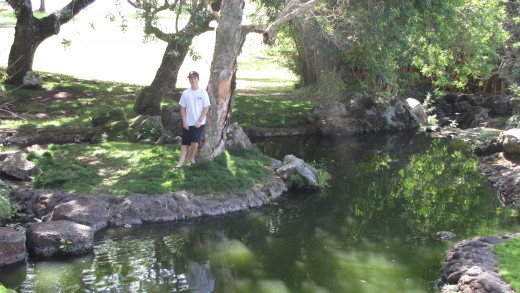 Small pond near the buildings