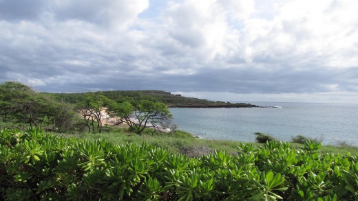 We moved over to the other hotel on the island.  The Four Seasons, to see the beach.  This is Manele Bay.  A gorgeous, white sand beach with dolphins.