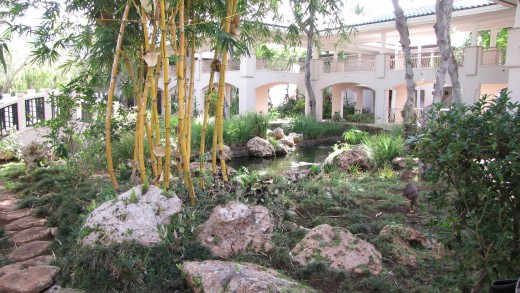 Beautiful bamboo at the Four Seasons