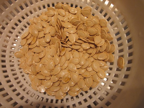 Rinse the Pumpkin Seeds in a Collander