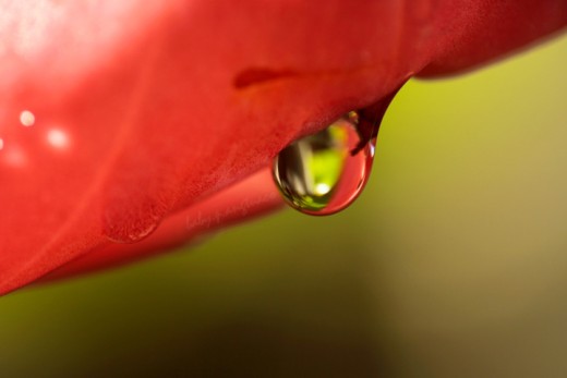 a drop of red and green