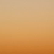 Vitorfior profile image