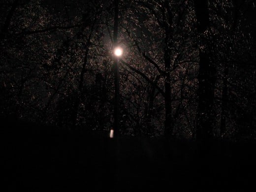 Moonlit Night  Photo taken by my daughter