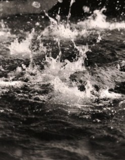 http://s1.hubimg.com/u/5751016_f248.jpg