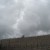 Dark storm clouds move in over vineyard.