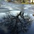 Different size puddles and light angles change how the tree is reflected. 