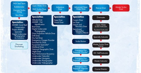 The Professional Association of Diving Instructors (PADI) is highly reputable  and a leading organization in diver training and education. The chart above shows the various courses and skill levels available under the PADI system.