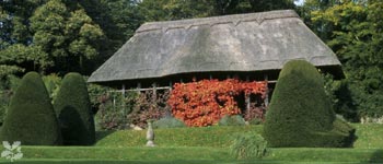 The Hawk House