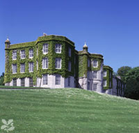 Ivy Covered Exterior