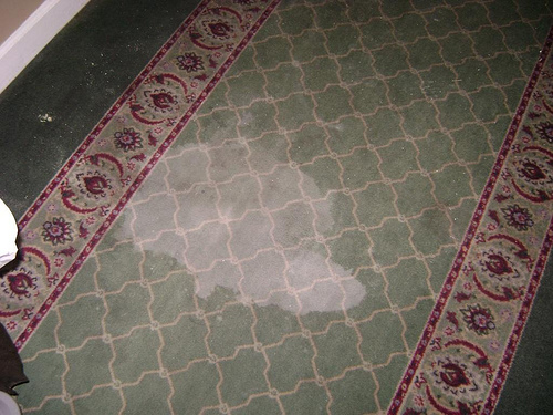 Dirty carpets never make good impressions.  Get that stain out naturally!
