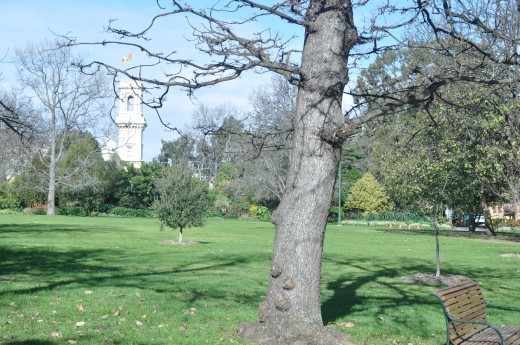 I know I don't want to be in another Perth anywhere else in the world...and yet... Perth's and Peel population is tipped to surge to 2.3 million by 2031.The 35 per cent rise would be the nation's highest.