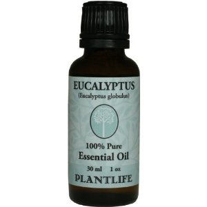 100% pure Eucalyptus essential oil 