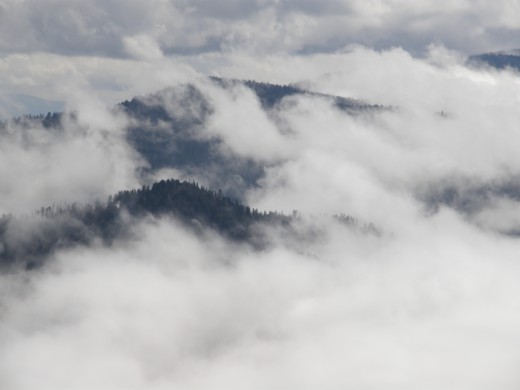 Clouds seen during the ascension of Mt. LeConte.