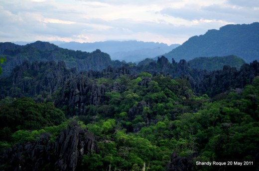 Have you ever seen a karst forest?