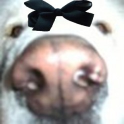 http://s1.hubimg.com/u/5773564_f248.jpg