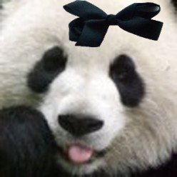http://s4.hubimg.com/u/5773619_f248.jpg