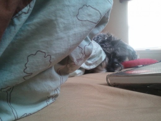 Peeking at me under the covers on a chilly morning.