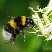 MoreWithHoney profile image