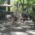 Couple of Ostrich - the largest bird at the zoo Couple of Ostrich - the largest bird at the zoo