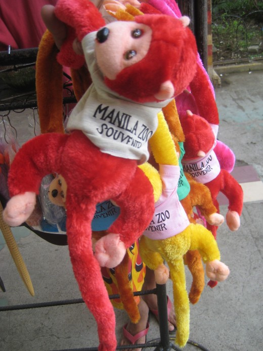 All photos taken by Travel Man last November 18, 2011