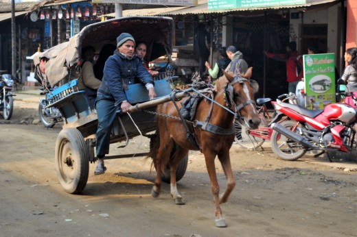 Horse drawn buggy in Bharatpur.