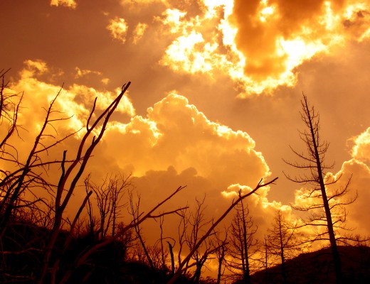 title: Hope for the Wounded..Big Bear, Ca.(fire zone)