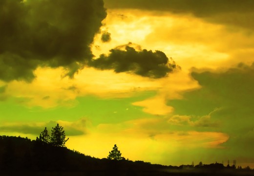 The Moonspinners...a golden sunset near Crest Forest, Ca.