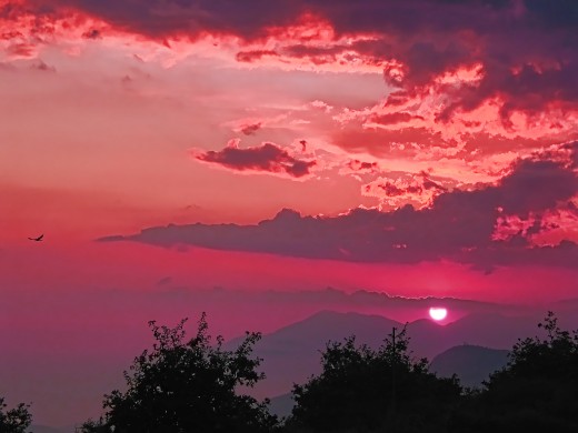Scarlet passions...a sunset in Rim Forest, Ca.