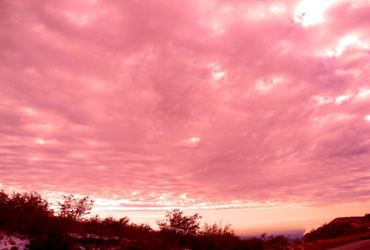 a gift of roses in the sky..Crestline, Ca.