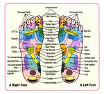 map of the feet