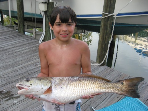 My grandson, a huge fan of saltwater fishing! Photo by Holle Abee.