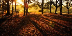 http://s1.hubimg.com/u/5791048_f248.jpg