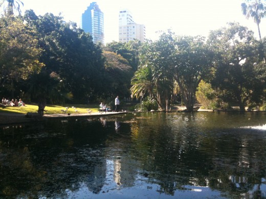 IMAGE13 Botanic Gardens