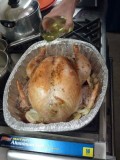 Thanksgiving Foods Dogs Can and Cannot Eat