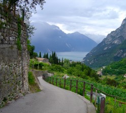 http://s2.hubimg.com/u/5796057_f248.jpg