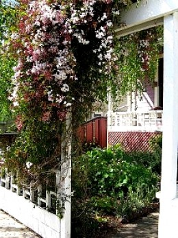 Wall Gardens and Supported Vertical Garden Ideas, Designs, Tips