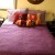 Purple Spread used in a Neutral Room with Rust and Gold Accent Pillows