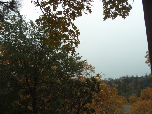 The gray sky and the colors of fall.