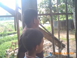 http://s4.hubimg.com/u/5809699_f248.jpg