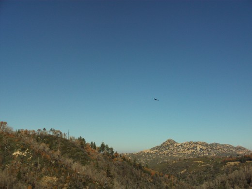 A bird in the sky with the Pinnacles in the distance.  There are trees on the hillside to the right.