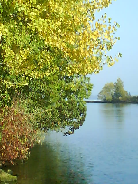 Autumn Scenery - Biel, Le Landeron - Walk Along The River