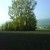 Autumn Scenery - Biel, Le Landeron - Walk Along The River