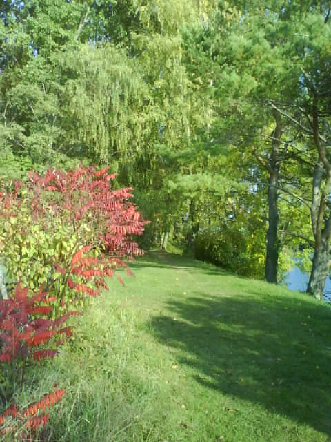 Autumn Scenery - Walk Along The River