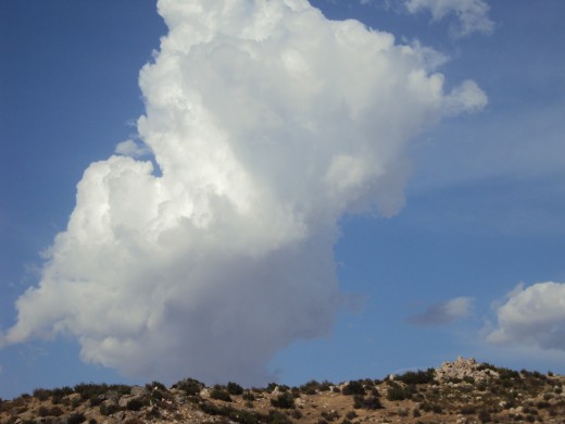 The fluffy cloud spotted on a hike.