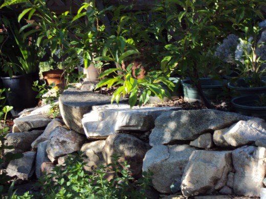 A terrace in the garden is formed with dirt and rocks.